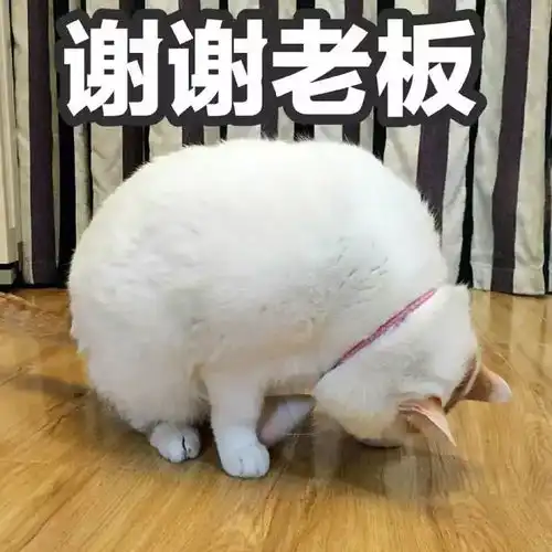  冷空气来袭阳光又将逃离永安下周二迎恐怖的超低温