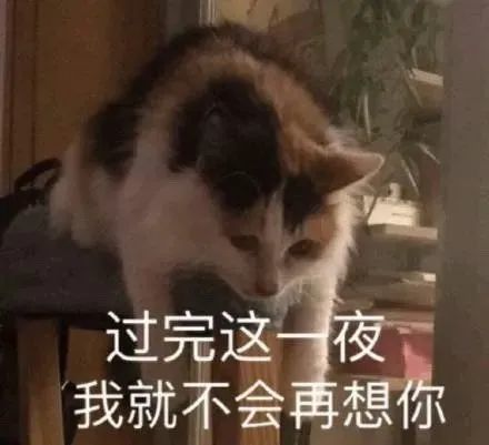  超贵的头像腾讯新闻