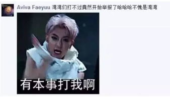  台湾网路被大陆表情包碾压事件的意义被低估了