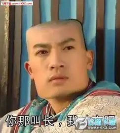 好方表情包还珠格格