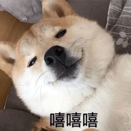  你用过最好用的身体乳是什么