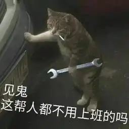  太会做生意了吧88块钱租浴袍假装住豪华酒店,引无数网红拍照
