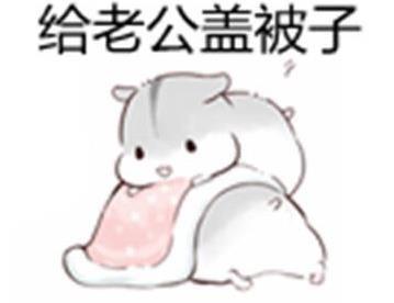  小仓鼠撩老公表情包