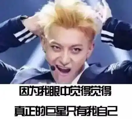  黄子韬,内娱自我洗白第一人