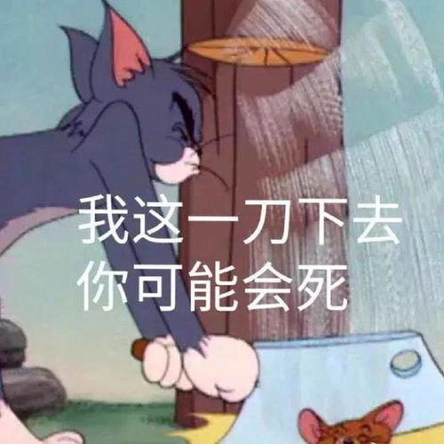  搞笑表情包我这一刀下去你可能会死