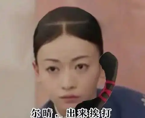 你是我大哥表情包李姐