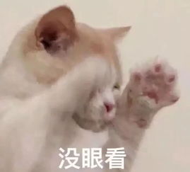  他们在西宁谈了一场7天的恋爱,七夕过后就分手