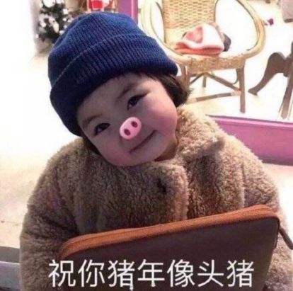  开学季胖胖瘦瘦那些事