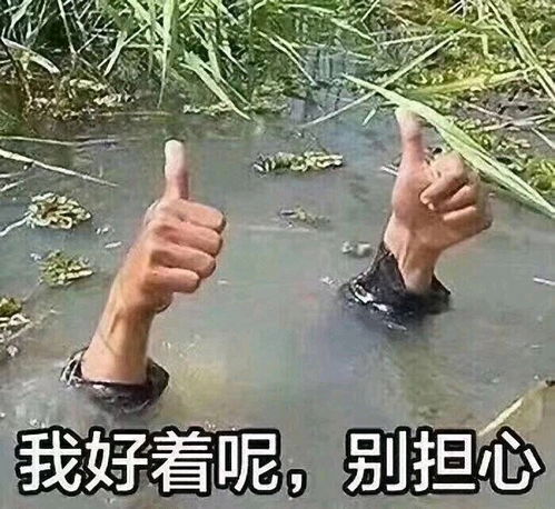  喜欢华神宇的走这边