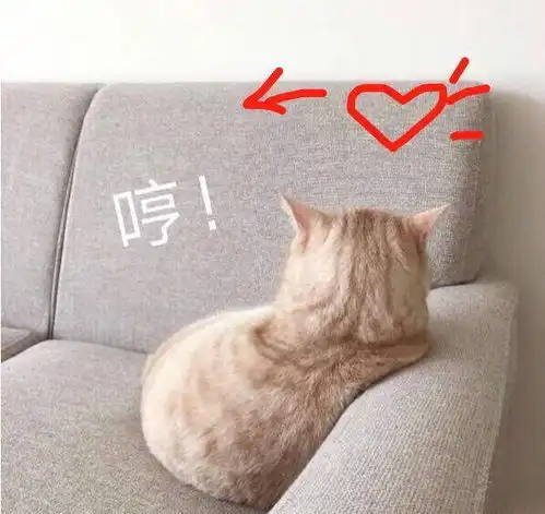  微信十大新功能,你知道吗