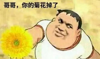 公主连接可可罗表情包教