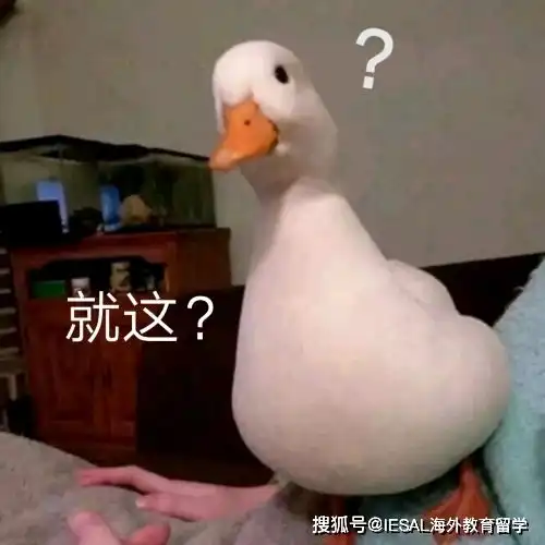  英国留学生被房东一家歧视,搬走前撕破脸