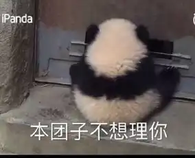  熊猫滚滚表情包