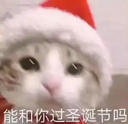  周末我还能干什么圣诞快乐小红帽表情包