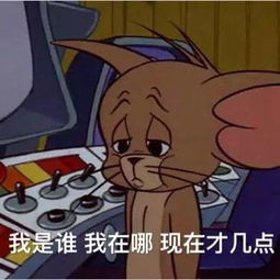  搞笑表情丨放送一期热门猫和老鼠表情包90后老阿姨蜀黍来收图吧