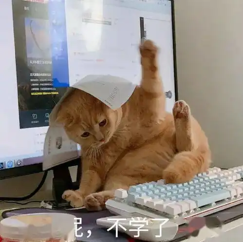  心理学考研高分经验专业课公共课全程复习规划,找到轻松跨考的学习方法