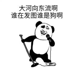  幽默笑话你一个兽医要去医什么,什么神兽需要四个兽医一起看
