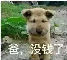  表情包月底没钱了,行行好吧