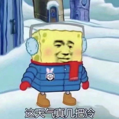  有哪些可爱的表情包