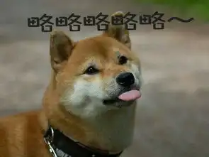  在这张图片上面加字略略略略略p得好看一点,这只狗吐舌头的字体萌一点