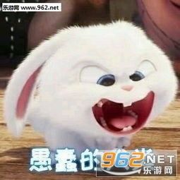  略略略略略来打我啊兔子小白表情包图片全部安静我要开始装逼了兔子小白表情包下载乐游网游戏下载