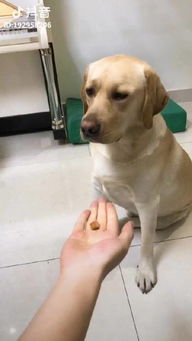  滚动