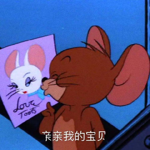  沙雕猫和老鼠表情包