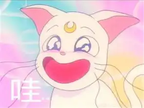  你真的老了,因为你连这些都看不懂了