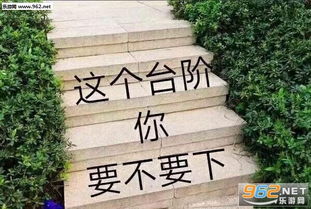 给台阶表情包台阶