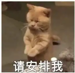  毕业季,我们不说再见