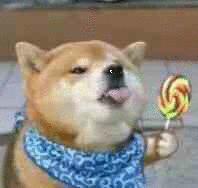 老婆你真棒动态表情包周