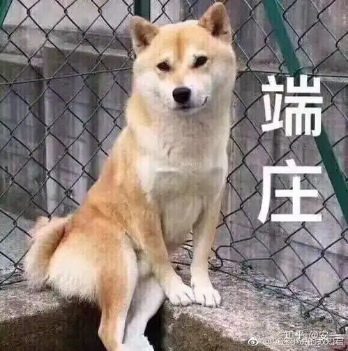 iphone表情包安卓下载秋