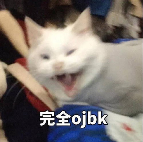  薄荷音有感给艺人创作了几个xx音糊逼粉...