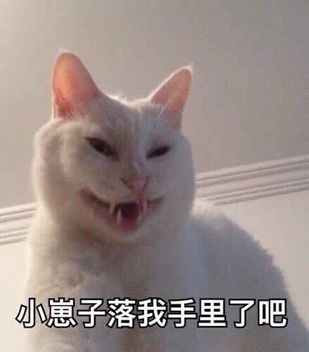  幽默段子笑话在家吃薯片,我们家汪星人可怜巴巴的盯着我