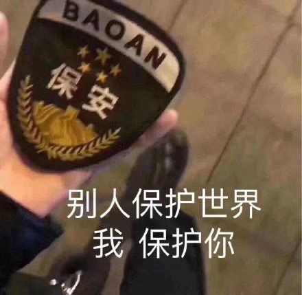 热门表情包拿图片我的理想是,保护你