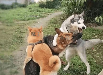  秒天秒地秒空气盘点神武4法系输出的尴尬瞬间