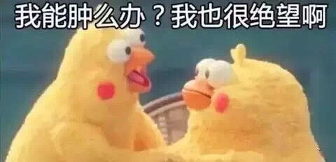  3月底4月初广州出发胡志明寻找小伙伴