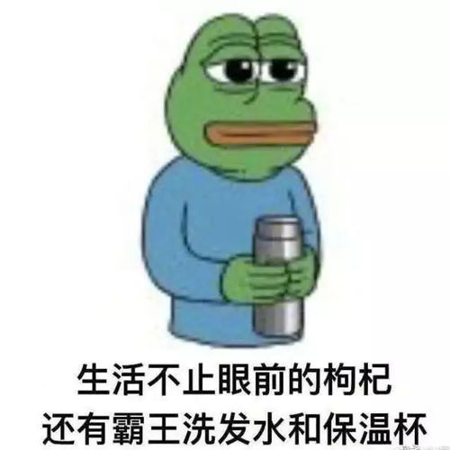 水贴图片表情包水娃