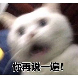 我好像又惹你了表情包