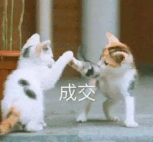  可爱表情包卑微崽