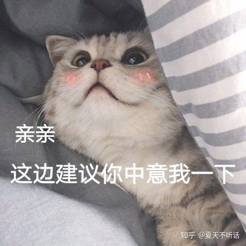 动漫猫咪卖萌表情包出去