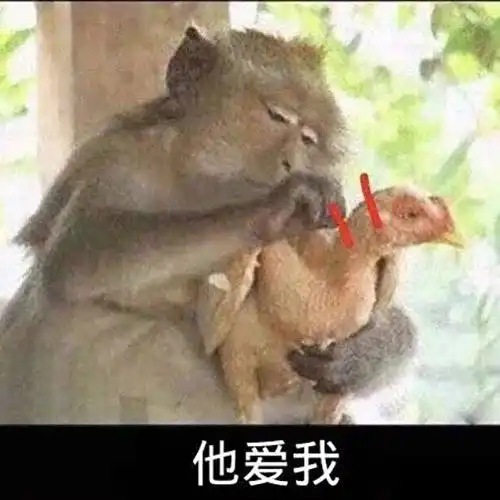 爱心的表情包抖音你不爱