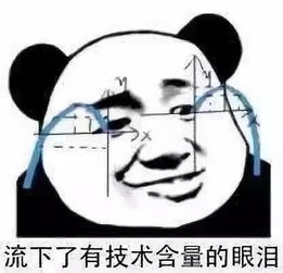 微信朋友圈可以斗图了这些期末考试表情包高能预警