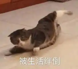  签了自愿协议就能拿钱,女主管说,公司近百号心理咨询师快崩溃了