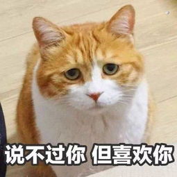  搞笑段子你觉得就是目前这个状态,我还有心思看游戏吗