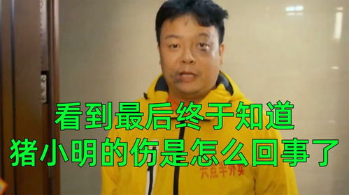  看到最后终于知道,猪小明脸上的伤是怎么回事了,六点半爆笑合集