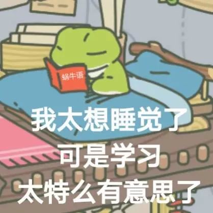  表情包爱上一只去旅行的青蛙,感觉自己当了妈
