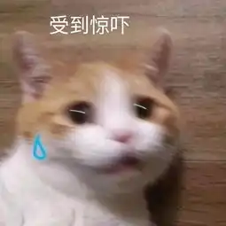  这么凉快下去都不好意思了......大家快来四川避暑鸭