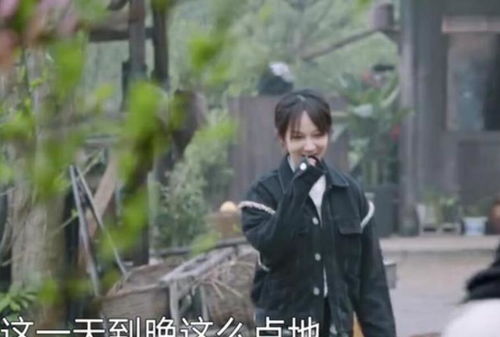  黄磊厨艺罕见翻车,被杨紫揭开老底的向往5,真变味了
