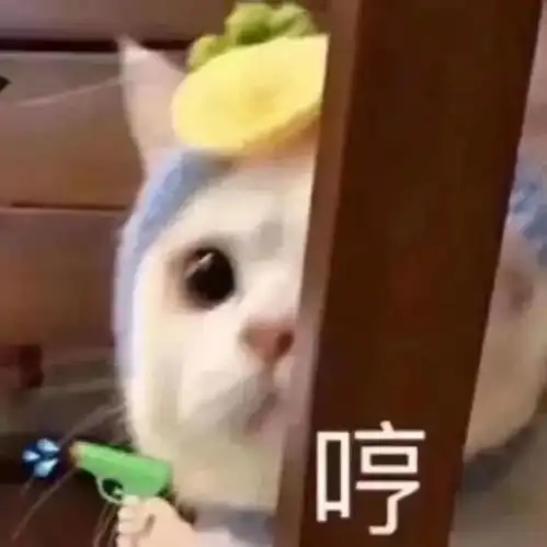  七月的情侣头像重拳出击啦